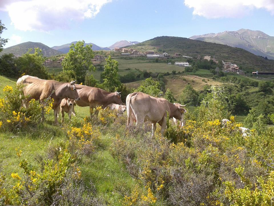 Turismo Rural Castell Neril 外观 照片